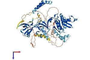 MPP5 Protein (AA 1-675) (His tag)