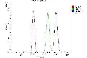 Flow Cytometry analysis of THP-1 cells using anti-MAPK11 antibody (ABIN7600772). (MAPK11 抗体  (AA 230-364))