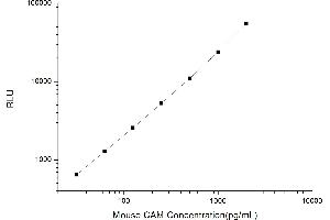 Calmodulin 1 (CALM1) CLIA Kit