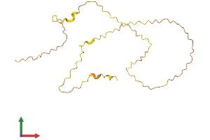 AlphaFold protein structure predicition of Human Recombinant KLLN Protein, UniprotID B2CW77 (KLLN Protein (AA 1-178) (His tag))