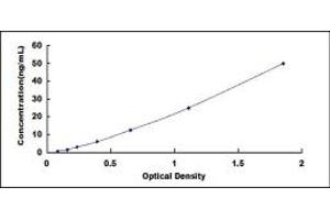 Typical standard curve (PRCP ELISA 试剂盒)