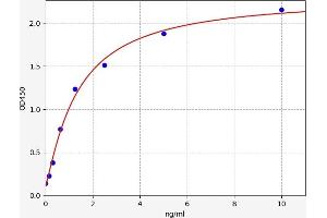 Typical standard curve (Vasn ELISA 试剂盒)