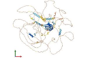 AlphaFold protein structure predicition of Mouse Recombinant Ppargc1b Protein, UniprotID Q8VHJ7 (PPARGC1B Protein (AA 1-1014) (His tag))