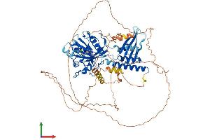 Protein Structure (PS) image for RAP1 GTPase Activating Protein 2 (RAP1GAP2) (AA 1-712) protein (His tag) (ABIN7557543)