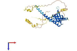 AlphaFold protein structure predicition of Human Recombinant FAM43B Protein, UniprotID Q6ZT52 (FAM43B Protein (AA 1-329) (His tag))