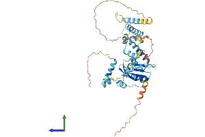 Protein Structure (PS) image for RNA Binding Motif Protein 41 (RBM41) (AA 1-413) protein (His tag) (ABIN7551240)