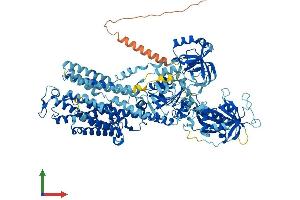 Protein Structure (PS) image for ATPase, H+/K+ Transporting, Nongastric, alpha Polypeptide (ATP12A) (AA 1-1039) protein (His tag) (ABIN7552479)