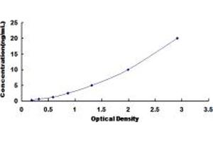 Typical standard curve (RNASE8 ELISA 试剂盒)