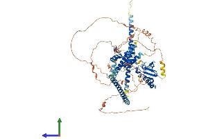 Protein Structure (PS) image for SKI-Like Oncogene (SKIL) (AA 1-675) protein (His tag) (ABIN7557591)