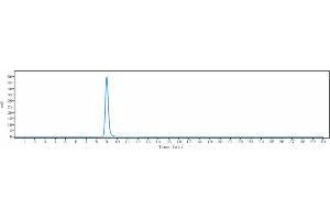The purity of Anti-CD47 Reference Antibody (CC-90002) is 100 % , determined by SEC-HPLC. (Recombinant CD47 抗体)