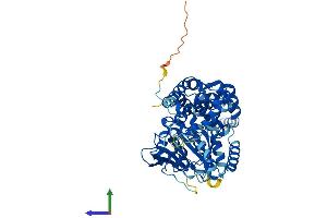 AlphaFold protein structure predicition of Mouse Recombinant Ehd1 Protein, UniprotID Q9WVK4 (EHD1 Protein (AA 1-534) (His tag))