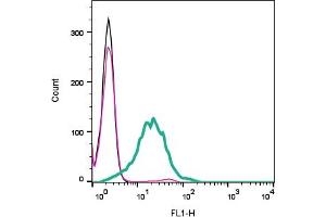 Cell surface detection of Adenosine A1 Receptor by indirect flow cytometry in live intact mouse  microglia cell line: + goat-anti-rabbit-FITC . (ADORA1 抗体  (Extracellular))