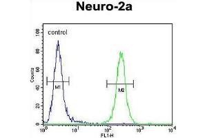 CCDC123 Antibody (C-term) flow cytometric analysis of Neuro-2a cells (right histogram) compared to a negative control cell (left histogram). (CEP89 抗体  (C-Term))
