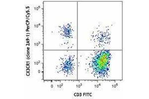 Flow Cytometry (FACS) image for anti-Chemokine (C-X3-C Motif) Receptor 1 (CX3CR1) antibody (PerCP-Cy5.5) (ABIN2660175) (CX3CR1 抗体  (PerCP-Cy5.5))