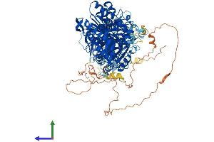 Protein Structure (PS) image for Phospholipase D1 (PLD1) (AA 1-1074) protein (His tag) (ABIN7554994)