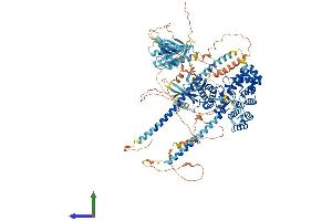 AlphaFold protein structure predicition of Human Recombinant TBC1D1 Protein, UniprotID Q86TI0