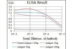 ELISA image for anti-Glutamate Receptor, Ionotropic, AMPA 2 (GRIA2) (AA 652-807) antibody (ABIN969524)
