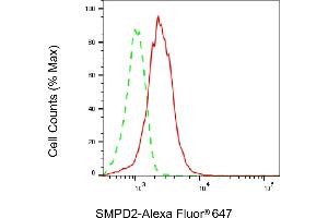 Flow cytometric analysis of SMPD2 expression in C2C12 cells using SMPD2 antibody (ABIN7800421), 1:2,000). (Recombinant SMPD2 抗体)