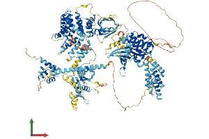 Protein Structure (PS) image for Mitogen-Activated Protein Kinase Kinase Kinase 6 (MAP3K6) (AA 1-1288) protein (His tag) (ABIN7554498)