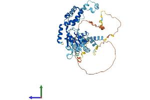 Protein Structure (PS) image for Katanin P60 Subunit A-Like 1 (KATNAL1) (AA 1-488) protein (His tag) (ABIN7559445)