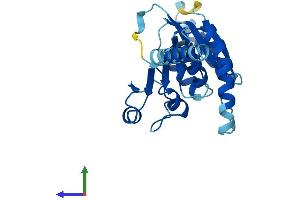 AlphaFold protein structure predicition of Human Recombinant ALG14 Protein, UniprotID Q96F25
