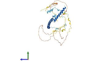 Protein Structure (PS) image for Spindle and Kinetochore Associated Complex Subunit 3 (SKA3) (AA 1-412) protein (His tag) (ABIN7555467)