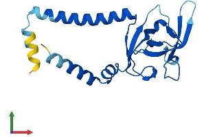 AlphaFold protein structure predicition of Human Recombinant SEC11A Protein, UniprotID P67812 (SEC11A Protein (AA 1-179) (His tag))
