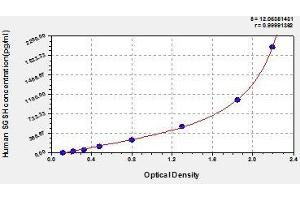 Typical standard curve (SGSH ELISA 试剂盒)