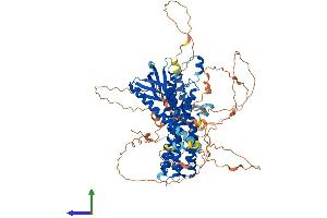Protein Structure (PS) image for Pleckstrin Homology Domain Containing, Family G (With RhoGef Domain) Member 6 (PLEKHG6) (AA 1-787) protein (His tag) (ABIN7564685)