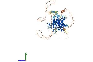 AlphaFold protein structure predicition of Human Recombinant TULP2 Protein, UniprotID O00295