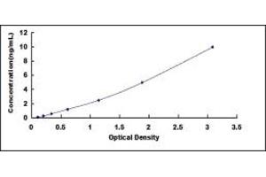 Typical standard curve (Endonuclease G ELISA 试剂盒)