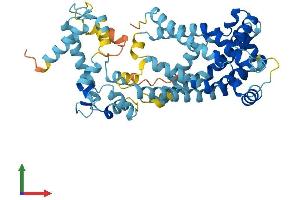 Protein Structure (PS) image for Solute Carrier Family 25 (Mitochondrial Carrier, Phosphate Carrier), Member 23 (SLC25A23) (AA 1-468) protein (His tag) (ABIN7555394)