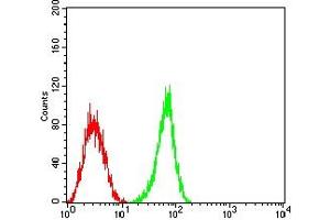 Flow cytometric analysis of HL-60 cells using CD363 mouse mAb (green) and negative control (red). (S1PR1 抗体)