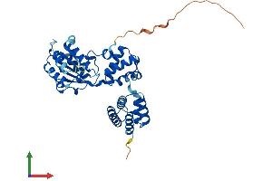 Protein Structure (PS) image for Replication Factor C (Activator 1) 2, 40kDa (RFC2) (AA 1-349) protein (His tag) (ABIN7556280)