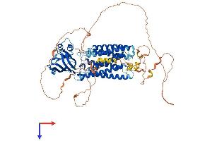 AlphaFold protein structure predicition of Mouse Recombinant Tmem145 Protein, UniprotID Q8C4U2 (TMEM145 Protein (AA 1-746) (His tag))