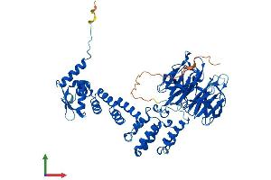 Protein Structure (PS) image for Kelch-Like 21 (KLHL21) (AA 1-597) protein (His tag) (ABIN7554350)