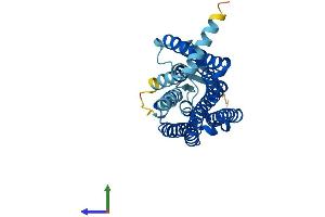 Protein Structure (PS) image for OR10H2 Olfactory Receptor, Family 10, Subfamily H, Member 2 (OR10H2) (AA 1-315) protein (His tag) (ABIN7550205)