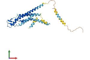 Protein Structure (PS) image for Gap Junction Protein, beta 1, 32kDa (GJB1) (AA 1-283) protein (His tag) (ABIN7546910)