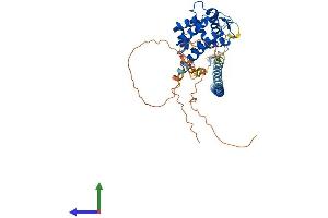 Protein Structure (PS) image for RUN Domain Containing 3A (RUNDC3A) (AA 1-446) protein (His tag) (ABIN7562170)