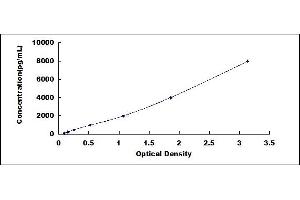 Typical standard curve (PVRL4 ELISA 试剂盒)