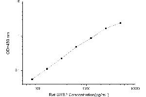 Typical standard curve (Glycogen Synthase 2 ELISA 试剂盒)