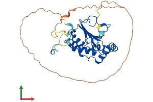 Protein Structure (PS) image for Methyltransferase Like 8 (METTL8) (AA 1-291) protein (His tag) (ABIN7549334)