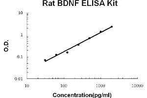 ELISA image for Brain-Derived Neurotrophic Factor (BDNF) ELISA Kit (ABIN411258) (BDNF ELISA 试剂盒)