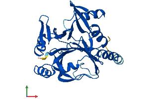 Protein Structure (PS) image for Glyoxalase Domain Containing 4 (GLOD4) (AA 1-298) protein (His tag) (ABIN7560485)