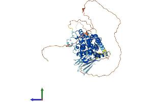 Protein Structure (PS) image for SHQ1 Homolog (SHQ1) (AA 1-577) protein (His tag) (ABIN7546241)