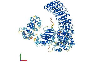 AlphaFold protein structure predicition of Mouse Recombinant Nod2 Protein, UniprotID Q8K3Z0 (NOD2 Protein (AA 1-1020) (His tag))