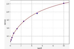 Phospholipase A2, Group IVA (Cytosolic, Calcium-Dependent) (PLA2G4A) ELISA Kit