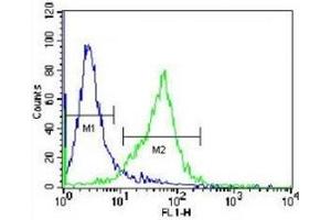 Flow Cytometry (FACS) image for anti-Glutamate-Cysteine Ligase, Catalytic Subunit (GCLC) (AA 1-30) antibody (ABIN3031076)