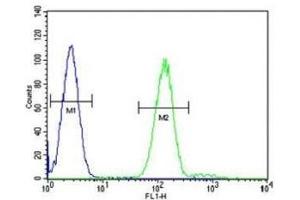 Myeloperoxidase antibody flow cytometric analysis of HL-60 cells (right histogram) compared to a negative control cell (left histogram). (Myeloperoxidase 抗体  (AA 60-89))