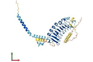 Protein Structure (PS) image for Leucine Rich Repeat Containing 2 (LRRC2) (AA 1-371) protein (His tag) (ABIN7549081)